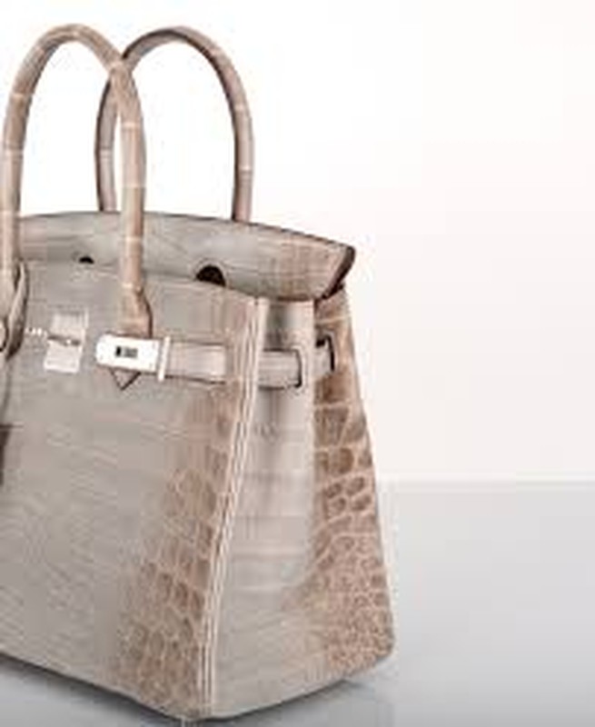 Can canh tui Hermes Birkin dat do bi nghi hang nhai cua Ngoc Trinh-Hinh-4